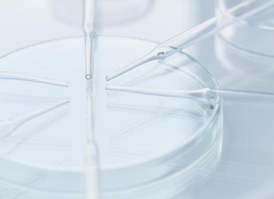 Alles wat je moet weten over antioxidanten: Gluthation, Vitamine C & Vitamine E