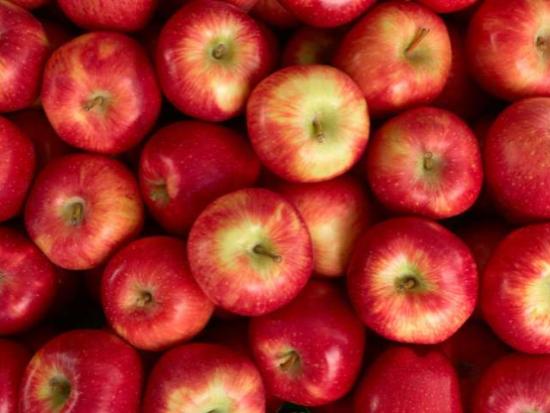 Appelstamcellen