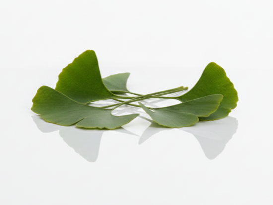 Ginkgo biloba-extract